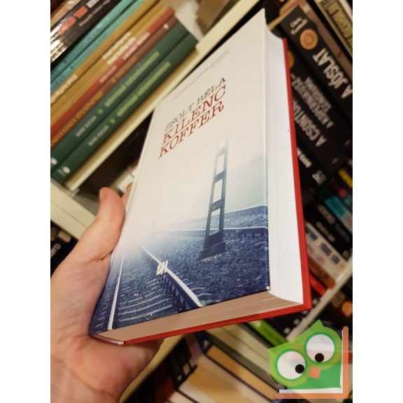 Zsolt Béla: Kilenc koffer