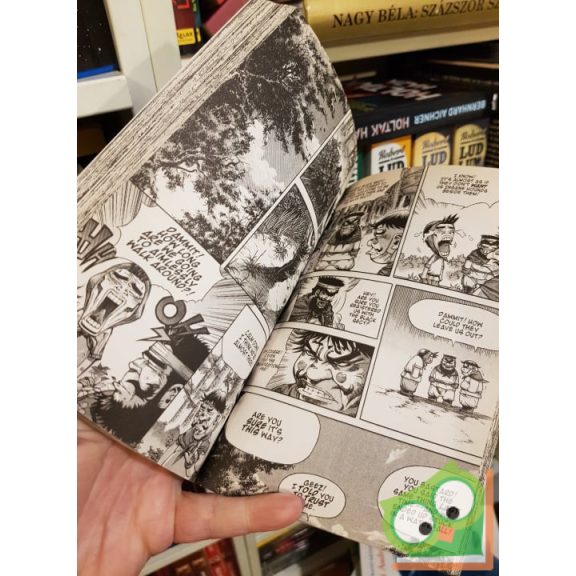 Ra In-soo: King of Hell Volume 11 (angol nyelvű manga)