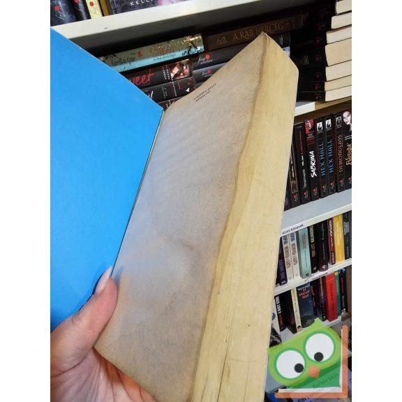 Stephen King: Rémautó