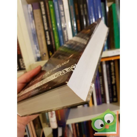 Robin Hobb: A király orgyilkosa (Látnok-ciklus 2.)