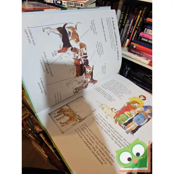 Thea Rob: Kis gazdik nagy kutyakönyve