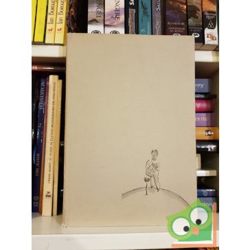 Antoine de Saint-Exupéry: A kis herceg