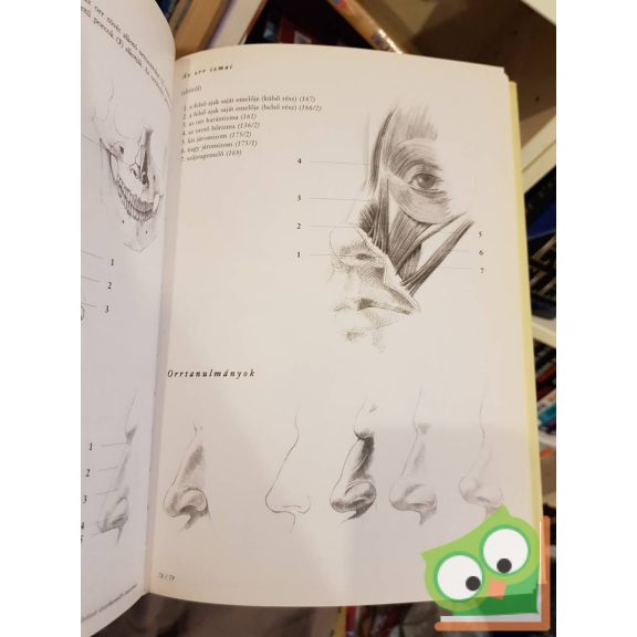 Fehér György, Szunyoghy András: Kis rajziskola