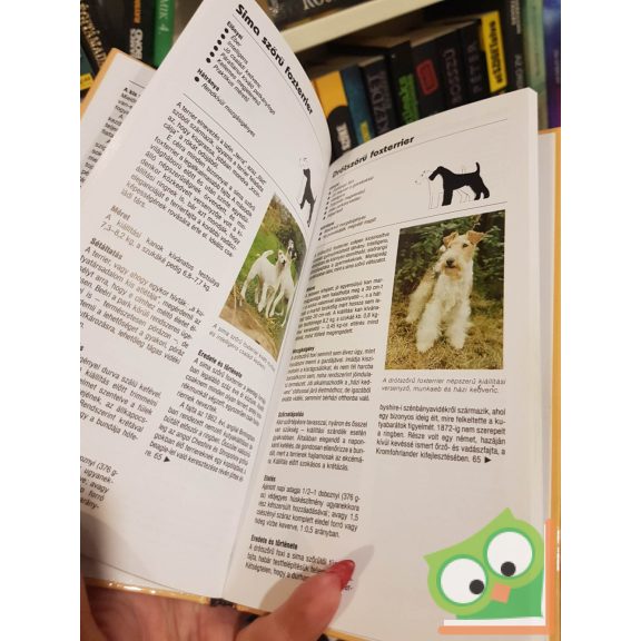 Joan Palmer: Tanácsadó kézikönyv kis testű kutya választásához