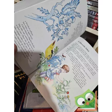   Schmidt Egon: A kisfiú és a madarak (Mesélnek az állatok)