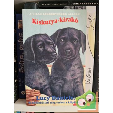   Lucy Daniels: Kiskutya-kirakó - Ki különbözteti meg ezeket a kölyköket?