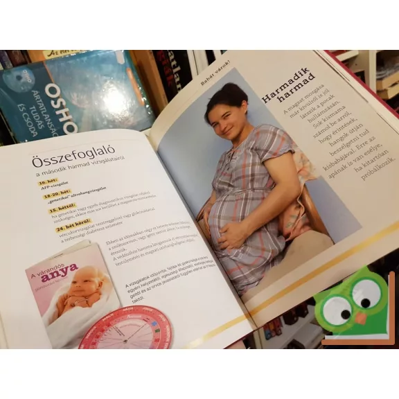 W. Ungváry Renáta: A kismama terheskönyve