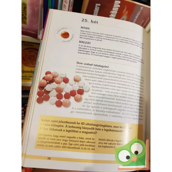 W. Ungváry Renáta: A kismama terheskönyve