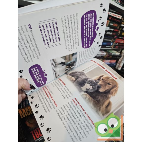 Kisokos a kutyusokhoz