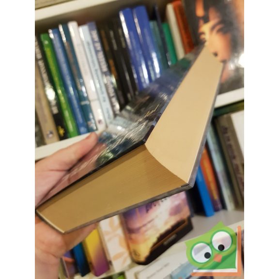 Terry Brooks: A kívánságdal (Shannara 3.)