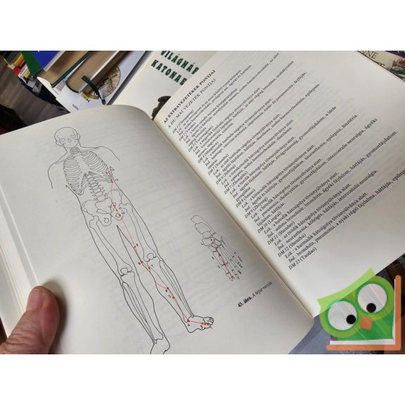 Debreceni László: Klinikai akupunktúra