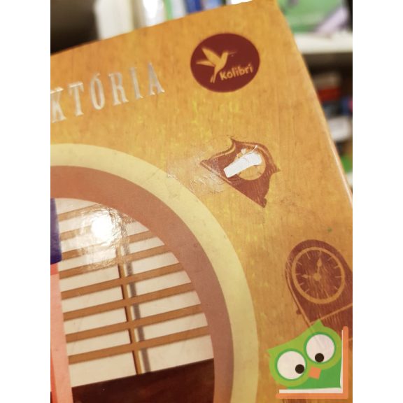 Bosnyák Viktória: Klott Gatya, ne fárassz! (Tündérboszorkány 2.)