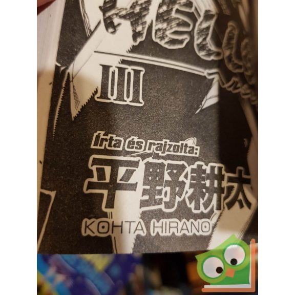 Hirano Kohta: Hellsing 3. (Hellsing 3.) (magyar nyelvű manga)