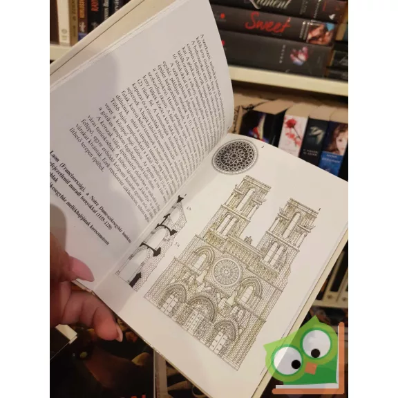 Kelényi György: Építészeti stílusok (Kolibri könyvek)