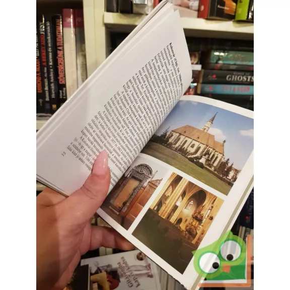 Sisa József: Híres magyar templomok (Kolibri könyvek)