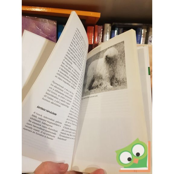 Udvardiné L.-Gibizer T. : Komondor, kuvasz (Kutyatár) (Ritka)