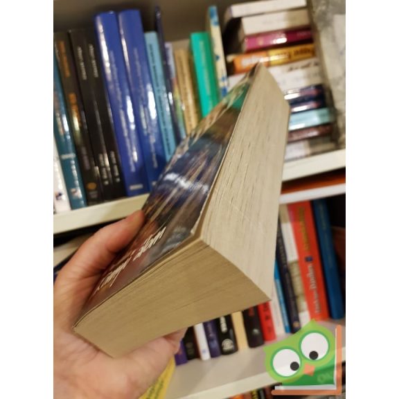 Vavyan Fable: Könnyű álom (Vis Major 3.)