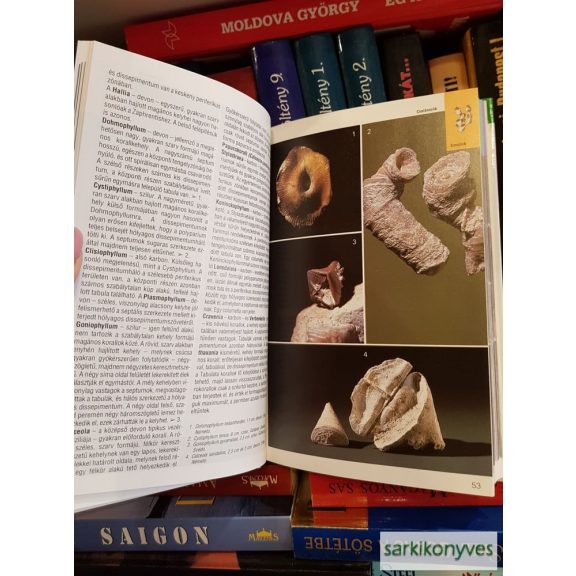 Gerhard Lichter ; Karl Beurlen: Kövületek (Természetkalauz, aláírt)