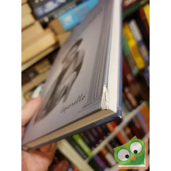 Szigethy Gábor: A kövér Szendrő