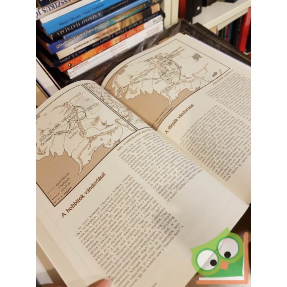 Karen Wynn Fonstad: Középfölde Atlasza (Hiteles földrajzi útmutató) (A Gyűrűk Ura Szerepjáték)