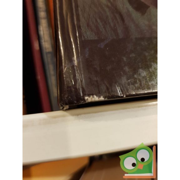 S. Coleman Charlton: Középfölde szerepjáték (A Gyűrűk Ura Szerepjáték)