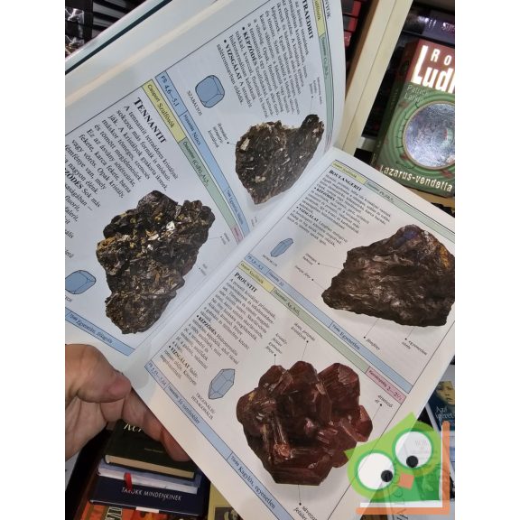 Chris Pellant: Kőzetek és ásványok (Határozó Kézikönyvek)