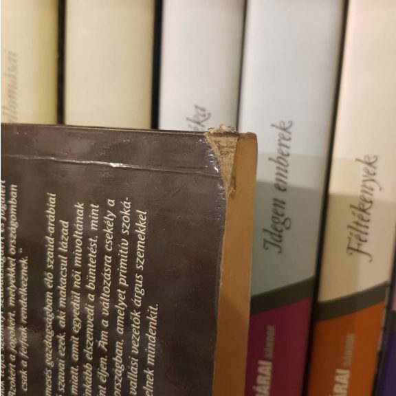 Jean Sasson: A fátyol mögött