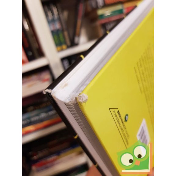 Michael Gienger: A kristálygyógyászat tankönyve (nagyon ritka)