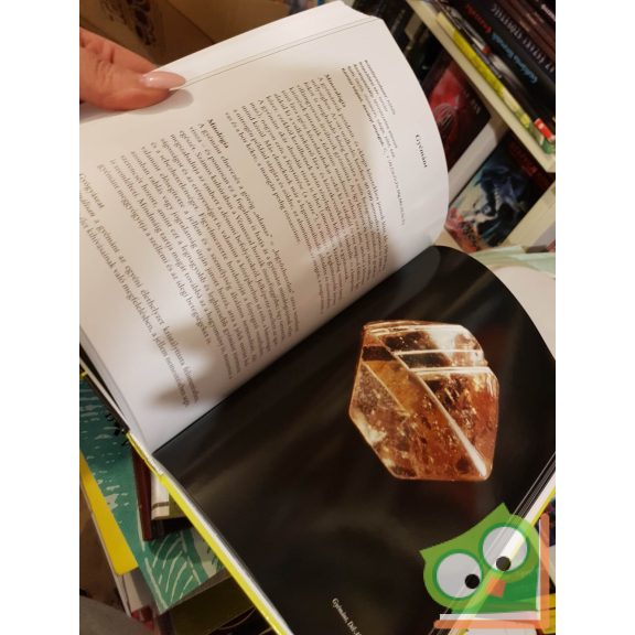 Michael Gienger: A kristálygyógyászat tankönyve (nagyon ritka)