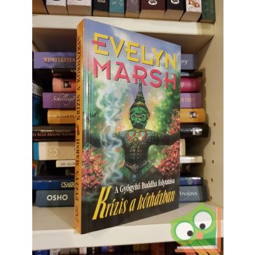   Evelyn Marsh: Krízis a kórházban (A Gyógyító Buddha 2.)