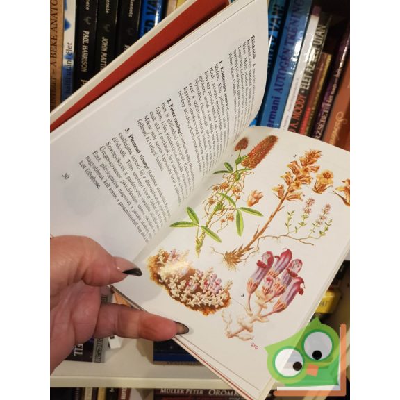 Fehér László: Különös növények (Búvár zsebkönyvek)