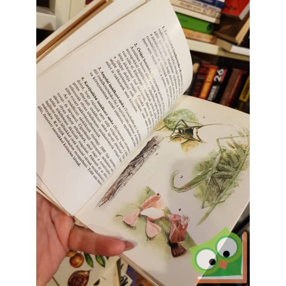 Karádi Ilona: Különös állatok (Búvár zsebkönyvek)