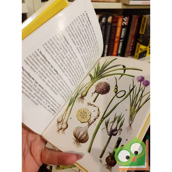 Járainé Komlódi Magda: Kultúrnövények 2. (Búvár zsebkönyvek)