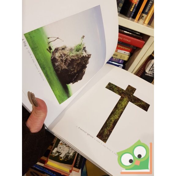 Kuti Dénes - Szovátai festőművész (Kortárs magyar művészet)