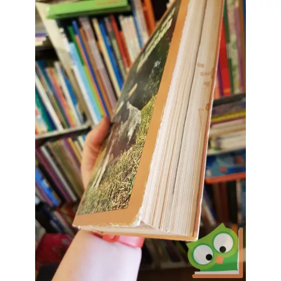 Kováts Zsolt: Kutyaiskola