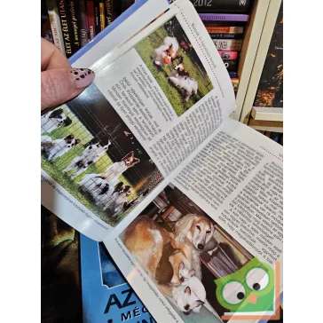 Dr. Anna Laukner Kutyakereső és partnerteszt