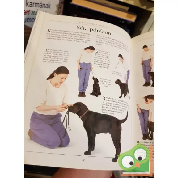 Dr.Bruce Fogle: A kutyakiképzés nagy kézikönyve (Ritka)