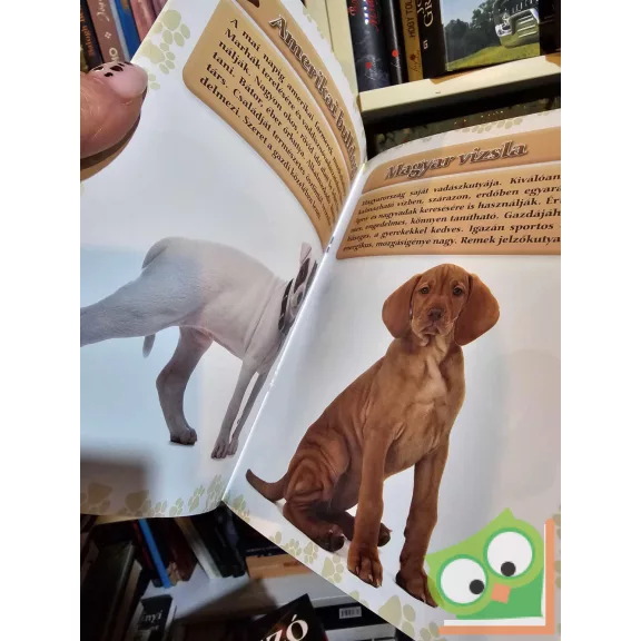 Krajnik Bíró Sára: Kutyakölykök