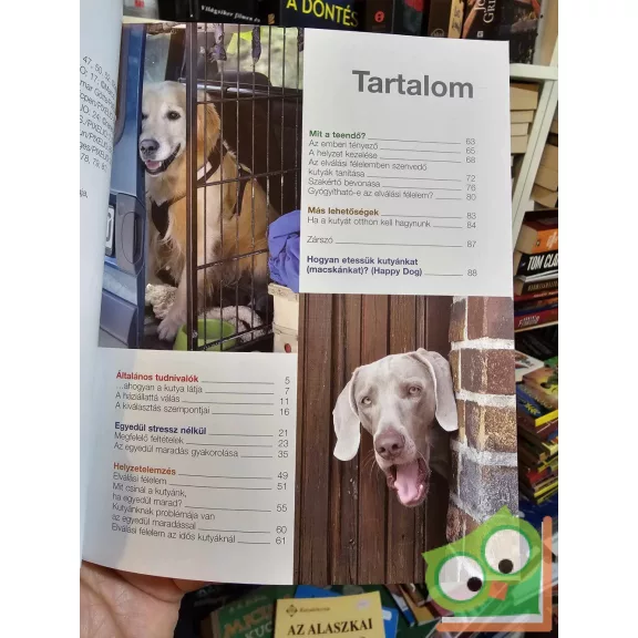 Christiane Wergowski: A kutyám - egyedül otthon (Kisállataink) (újszerű)