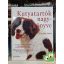 Caroline Davis: Kutyatartók nagykönyve - A legfontosabb tudnivalók a kutya gondozásáról
