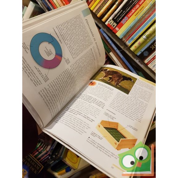 John Bower, Caroline Bower: Kutyatulajdonosok kézikönyve