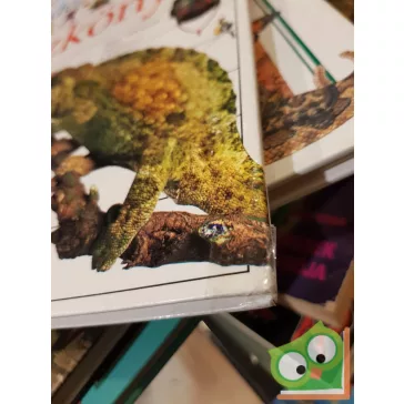 Kramer, Rowland-Entwistle: Kérdezz-felelek - Kvízkönyv