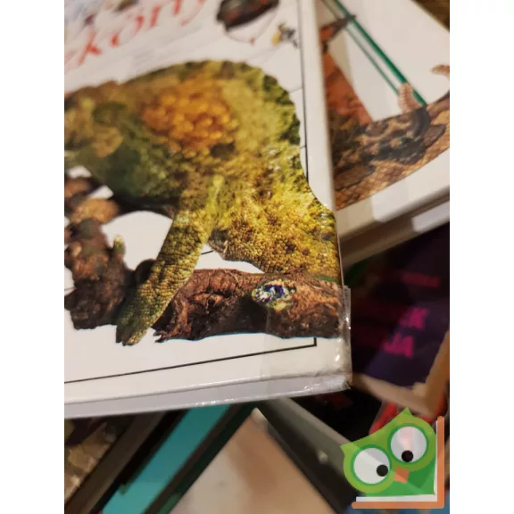 Kramer, Rowland-Entwistle: Kérdezz-felelek - Kvízkönyv