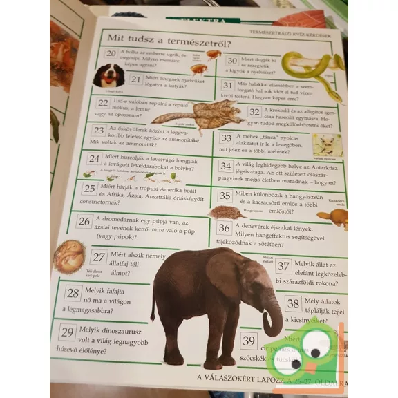 Kramer, Rowland-Entwistle: Kérdezz-felelek - Kvízkönyv