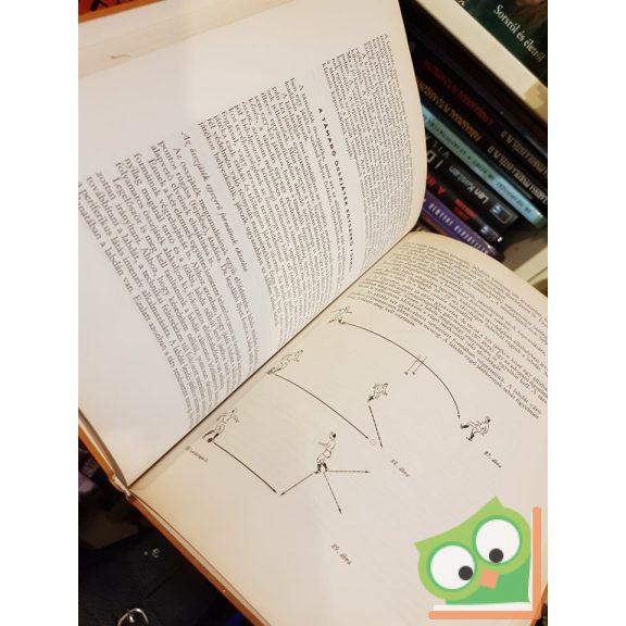 Dr. Csanádi Árpád: Labdarúgás 2. stratégia