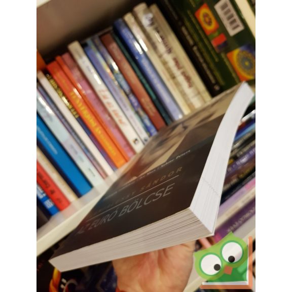 Lámfalussy Sándor: Az ​euró bölcse