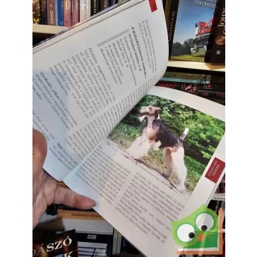 Nagy István · Varga Mónika A ​legnépszerűbb terrierek