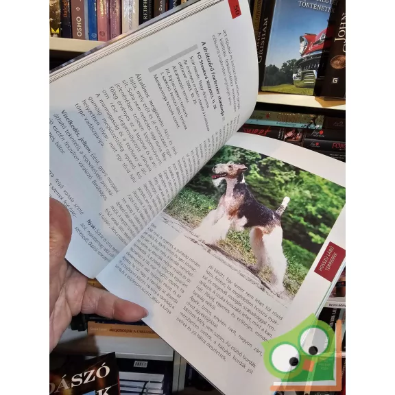 Nagy István · Varga Mónika A ​legnépszerűbb terrierek