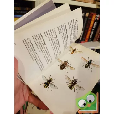   Móczár László: Legyek, hangyák, méhek, darazsak (Búvár zsebkönyvek)