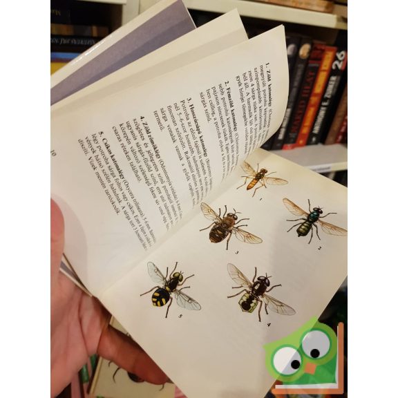 Móczár László: Legyek, hangyák, méhek, darazsak (Búvár zsebkönyvek)
